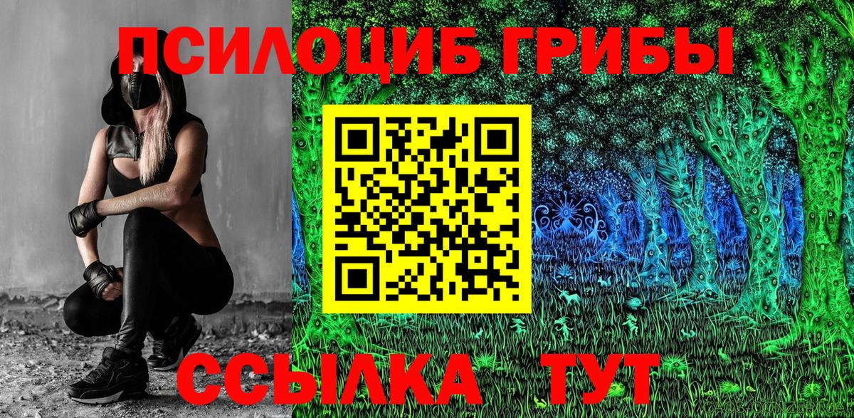 Избербаш  Псилоцибиновые грибы Magic Shrooms  закладки  Псилоцибиновые грибы мицелий  Вход с VPN 